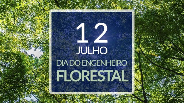 12 de julho – Dia do Engenheiro Florestal