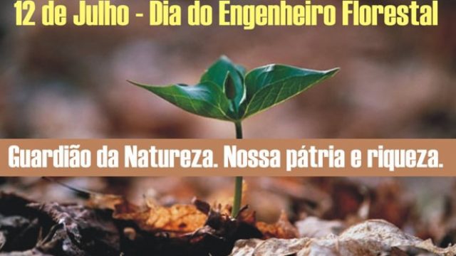 12 DE JULHO — DIA DO ENGENHEIRO FLORESTAL