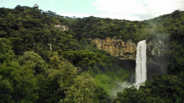 Vitória! Constitucionalidade da Licença Ambiental por Compromisso – LAC