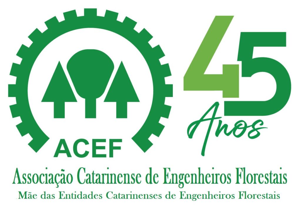 A ACEF externa sua alegria pela aprovação de mais duas afilhadas no ...