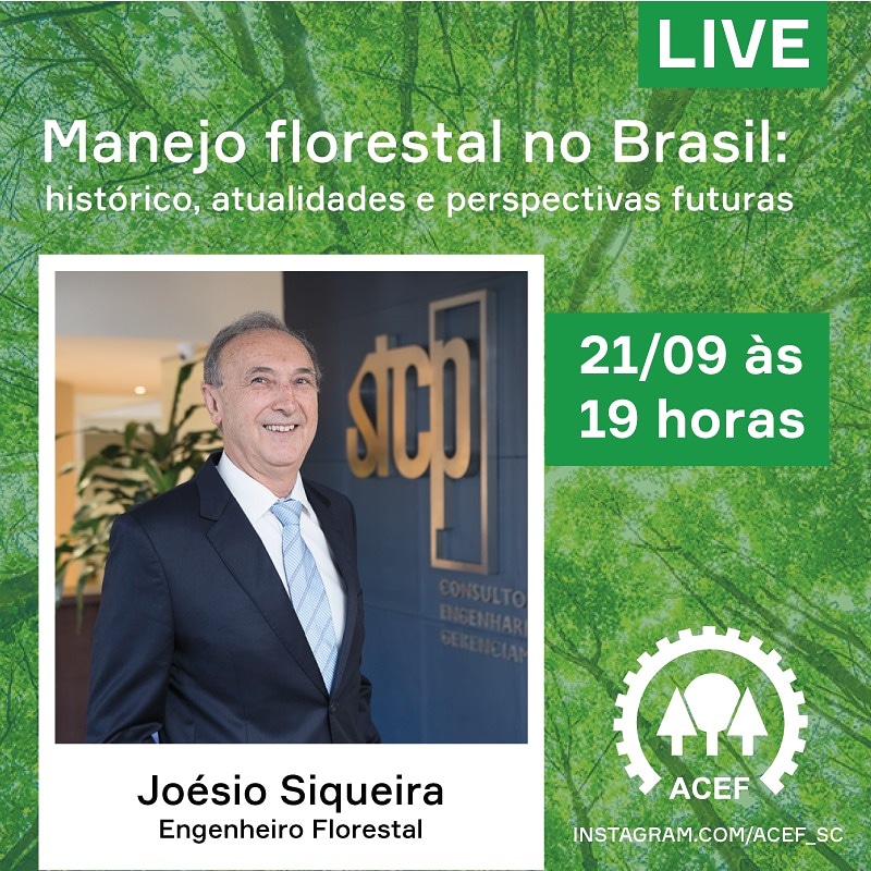 Live: – Manejo Florestal no Brasil